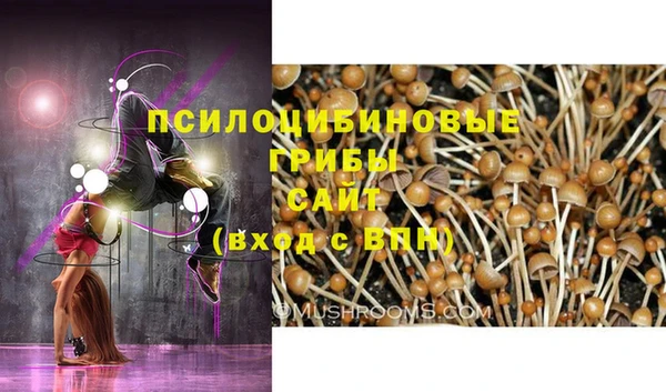 винт Ельня