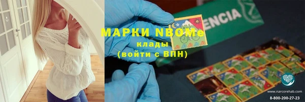 винт Ельня