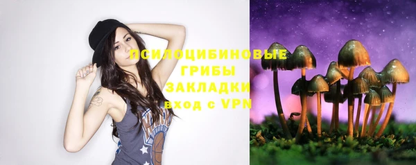 винт Ельня