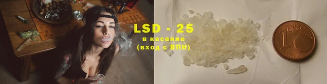 винт Ельня