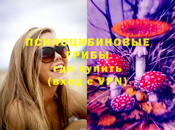прущая мука Елабуга