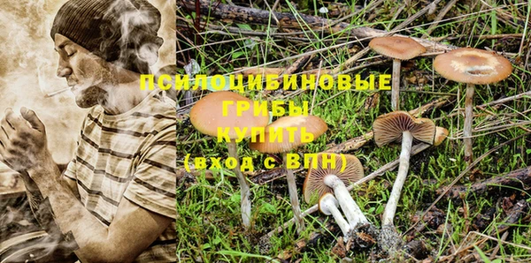 прущая мука Елабуга
