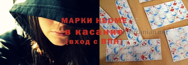 винт Ельня