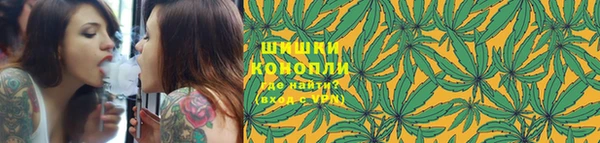 дживик Елизово