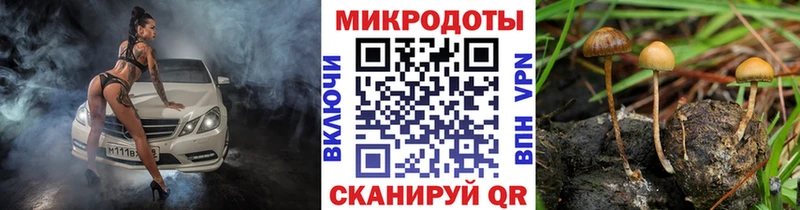 МЕГА сайт  Саянск  Псилоцибиновые грибы мухоморы 