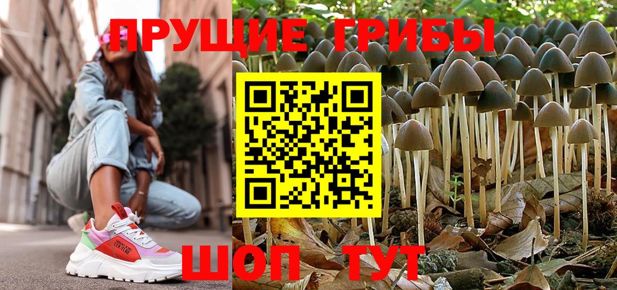 где купить наркотик  Вход с VPN  Саянск  Псилоцибиновые грибы Psilocybe 